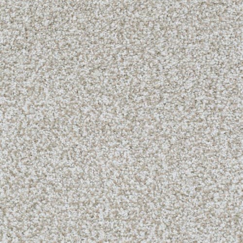 beige and white carpet